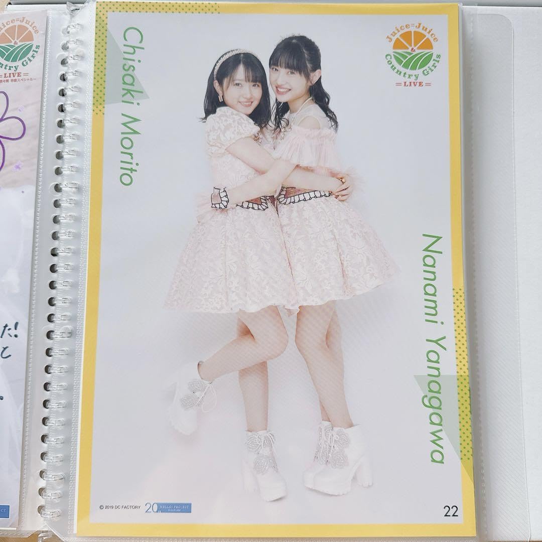 4164 Buono! 嗣永桃子 ピンナップポスター 4164 Buono! 嗣永桃子 ピンナップポスター Momoko Tsugunaga